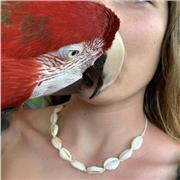 Esperta DSA insegnante scuola primaria con esperienza pluriennale